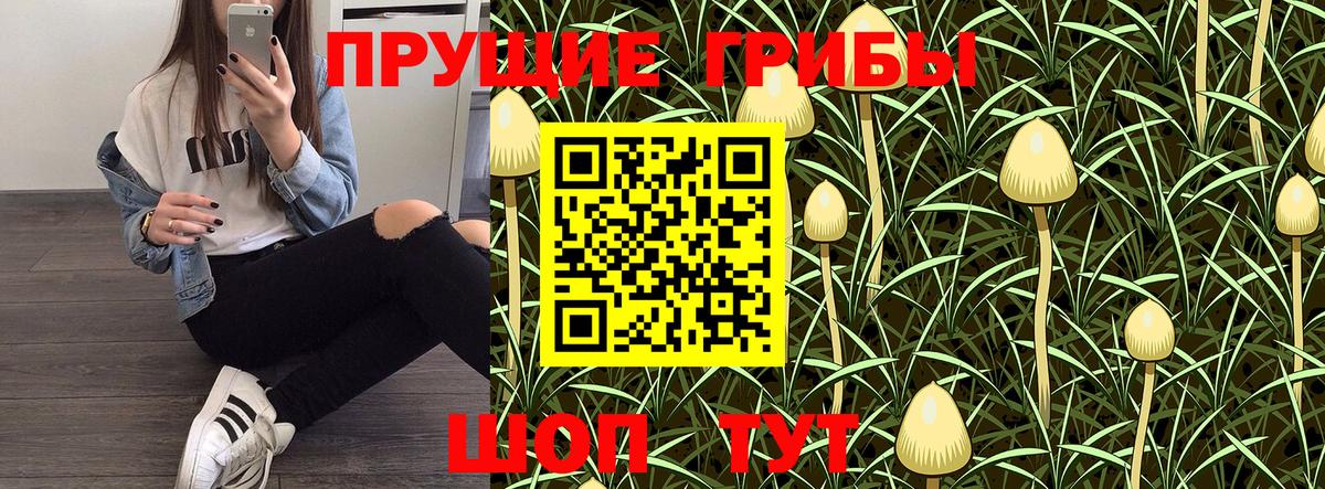 Псилоцибиновые грибы GOLDEN TEACHER Сосновый Бор